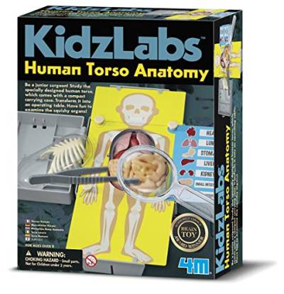 4 m Kidz Labs Echthaar Torso Spielzeug von 4M