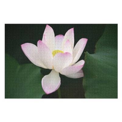 für Familie Freunde Dekorativ，1000 StüCk Light pink Lotus Flower Green leavesLernspielzeug FüR Kinder 75x50Holz von CARGUS