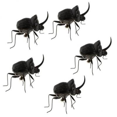 Fenteer 4X 5Pcs Simulation Künstliches Insektenmodell Kinder Lernspielzeug Käfer von Fenteer