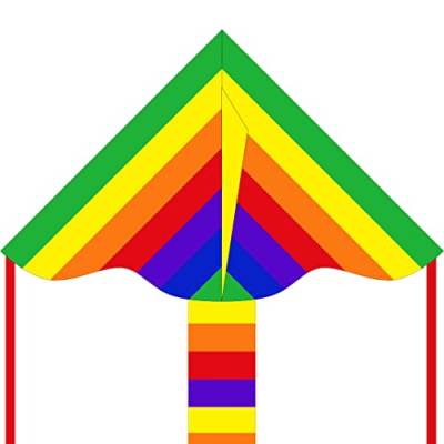 HQ Design Ecoline - Simple Flyer 85cm Kinderdrachen Einleiner, ab 5 Jahren, 42x85cm und 1.5m Drachenschwanz, inkl. 17kp Polyesterschnur 25m auf Griff, 2-5 Beaufort (Rainbow) von HQ HIGH QUALITY DESIGN
