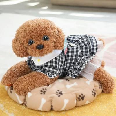 QhBdjx Teddyhund niedlicher Pudel Kuscheltier Puppe Weihnachten Geburtstag Geschenk 35cm 12 von QhBdjx