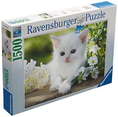 Ravensburger Puzzle für Erwachsene, 1500 P, weißes Kätzchen, 16243 von Ravensburger