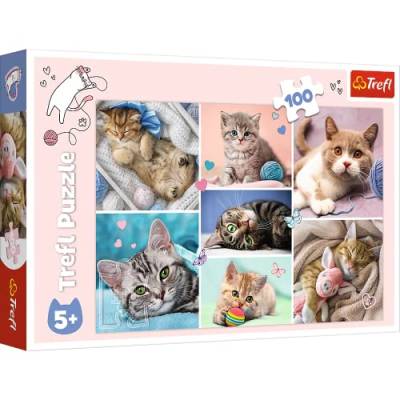 Trefl 16420 In der Katzenwelt 100 Teile, für Kinder ab 5 Jahren Puzzle von Trefl