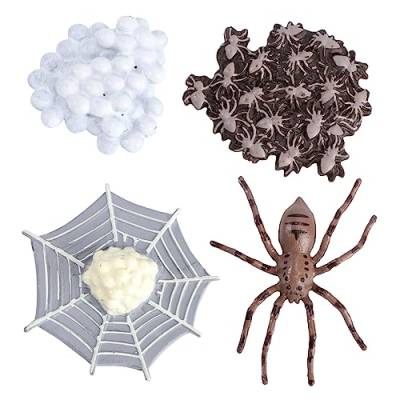 UPKOCH 2 Sätze Lebensphasenmodell Spinnen-lebenszyklus-Spielzeug Realistisches Spielzeug Insektenfänger Mini-Modell Figuren Zum Lebenszyklus Von Insekten Bausatz Kind Ameise Schmücken Abs von UPKOCH