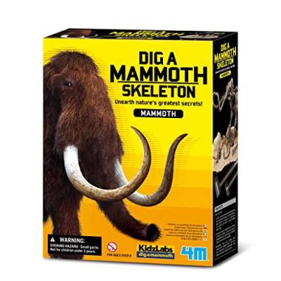 4M Kidz Labs Dig a Mammoth Skeleton von 4M