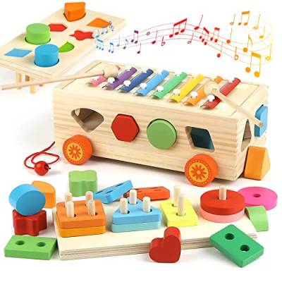 Vanplay Kinderspielzeug Montessori Spielzeug Holzspielzeug Xylophon Motorikspielzeug Bauklötze Baby Kinder ab 2 3 4 Jahr von Vanplay