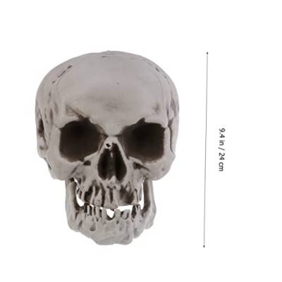 ibasenice 3st Halloween-schädel-zubehör Verängstigt Totenkopf Kopfknochenmodell Gefälschte Menschliche Skelett-Requisiten Mini Schädel des Menschlichen Kopfes Gespenstisch Tag Replik Cosplay von ibasenice
