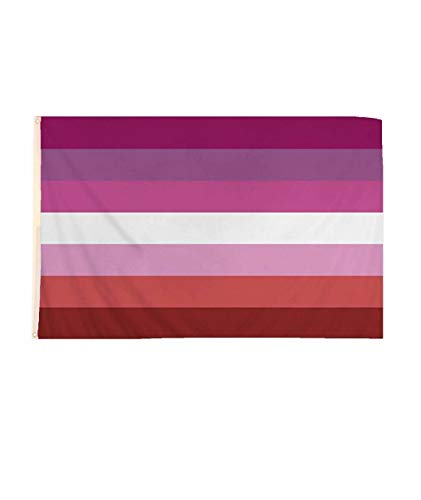 21Fashion Gay Pride Regenbogen Schmuck Hüte Abzeichen Armband Perücke LGBT Parade Party Zubehör (Lesbische Flagge) von 21Fashion