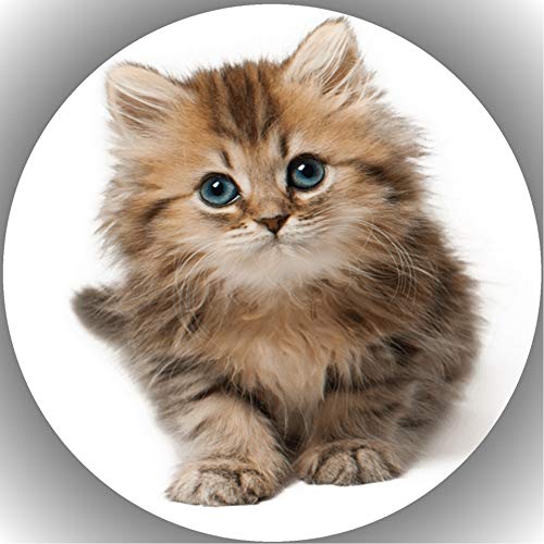 Premium Esspapier Tortenaufleger Tortenbild Geburtstag Katzen L30 von 24