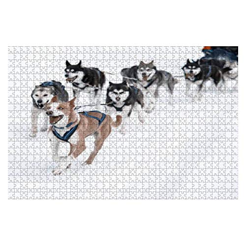 Jigsaw Puzzle 1000 Stück Gruppe Schlittenhunde, Die Im Schnee Laufen Puzzle Für Kinder Jungen Holzpuzzle Für Erwachsene Und Kinder Puzzlespaß Klassische Puzzles von 385