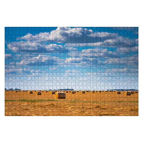 Jigsaw Puzzle 1000 Stück Hooibalen Op De Prairie Bij Alberta Stockbild Kinderpuzzle Liebhaber Holzpuzzlespielzeug Puzzlespaß Brain Challenge Puzzle Für Kinder von 385