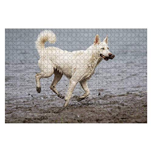 Jigsaw Puzzle 1000 Stück Samojede Mix Husky Hund Unmögliche Puzzle Liebhaber Tiere Puzzles Familienspiele Puzzle Für Kinder von 385