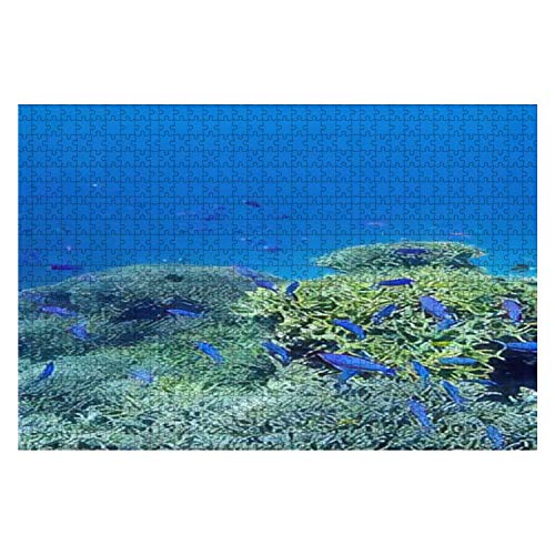 Jigsaw Puzzle 1000 Stück Strandschnorcheln Mit Bunten Tropischen Fischen Auf Der Insel Zamami Kerama Unmögliche Puzzle Familienspiele Tiere Puzzles Traditionen Brain Challenge Puzzle Für Kinder von 385