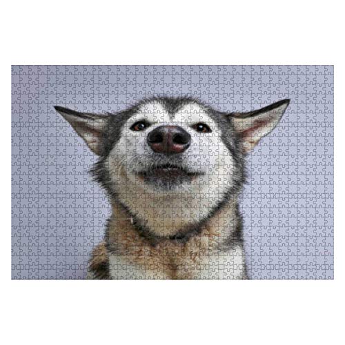 Puzzle 1000 Teile Alaskan Malamute Hund Hofft Auf Adoption Besondere Puzzle Für Erwachsene Unterhaltungsspielzeug 1000 Stück Puzzle Große Puzzles Mädchen Holzpuzzle Erwachsene von 385