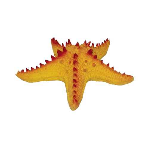 3D LiveLife Rep Pals - Seestern, Dehnbares Spielzeug von Deluxebase. Super Dehnbare Tiernachbildungen, die Sich echt anfühlen, großartig für Kinder 3D LiveLife Rep Pals - Seestern, Dehnbares Spielzeug von Deluxebase. Super Dehnbare Tiernachbildungen, die Sich echt anfühlen, großartig für Kinder von 3D LiveLife