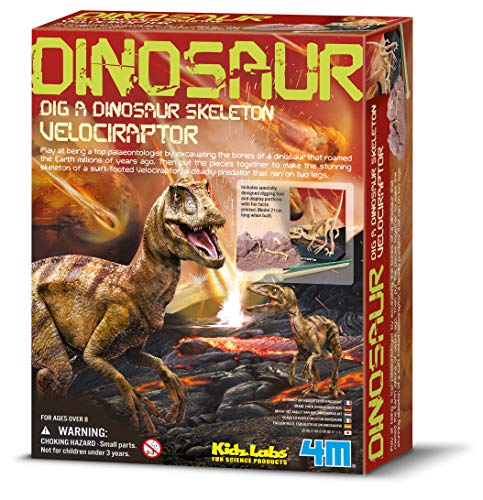 HCM Kinzel Ausgr. Dino Velociraptor (663234) HCM KINZEL GmbH HCM Kinzel Ausgr. Dino Velociraptor (663234) HCM KINZEL GmbH von 4M