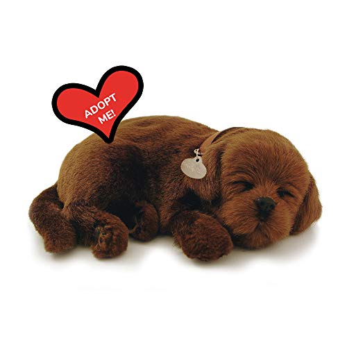 Perfect Petzzz 5519715 (Chocolate Lab Plüsch, Tierdruck, 1 von 88 Unlimited
