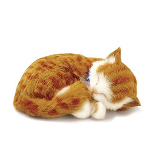 Perfect Petzzz 65431 – Stofftier interaktiv Katze –Tabby – Orange – Tier, das wie in der Realität atmet – 25 cm von 88 Unlimited