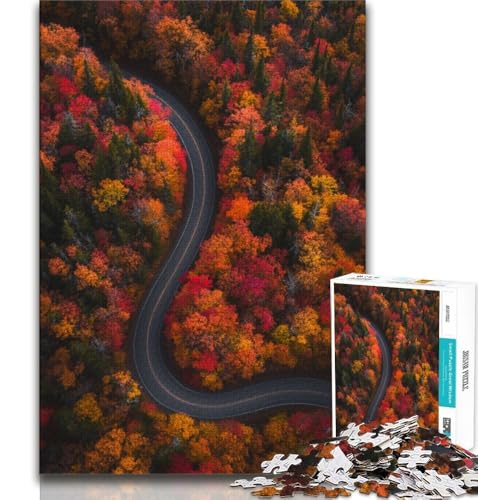 Puzzle 1000 Teile für Erwachsene und Jugendliche, Herbststraße, anspruchsvolles Spiel, ganze Familie (38x26cm) von AADSAZA