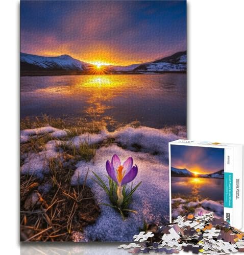 Puzzle für Erwachsene, 1000 Teile, wunderschöne Berge und Seen, Lernspiele, Heimdekoration, ganze Familie (38x26cm) von AADSAZA