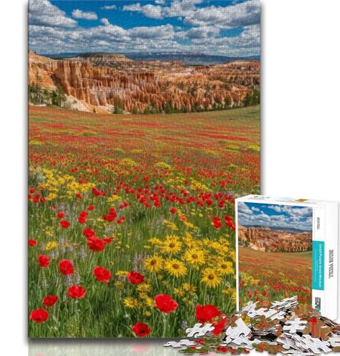 Puzzle für Teenager, 1000 Teile, wunderschöner Bergfluss, hilft dem Gehirn, süchtig machendes Spielzeug zu trainieren, um Geduld zu fördern und das Gedächtnis zu verbessern (75x50cm) von AADSAZA