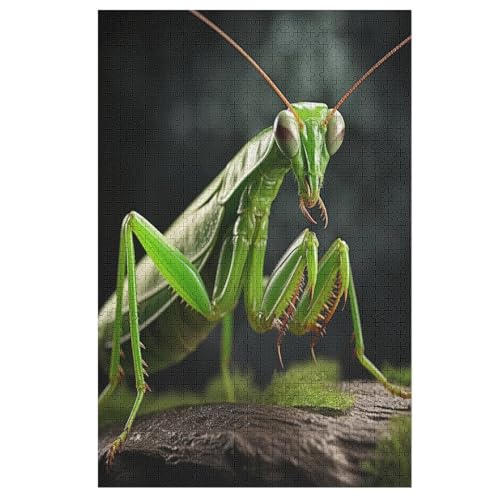 Praying MAmeiseis Puzzles 1000 Teile Erwachsener Kniffel Spaß Für Die Ganze Familie - 1000 Puzzleteilige Motive, Holzpuzzle Kinder Erwachsene, Impossible Puzzle Schwer （78×53cm） von AAPZY