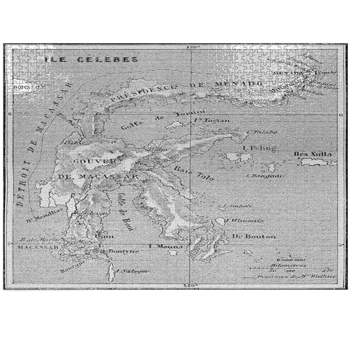 ABAKUHAUS Insel-Karte Puzzle, Französisch Karte Insel, Heirloom-Qualität lustige Aktivität für die Familie langlebiger Karton, 1000 Stücke, Schwarz und weiß von ABAKUHAUS