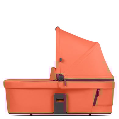 ABC DESIGN Babywanne Carrot Kollektion 2024 ABC DESIGN Babywanne Carrot Kollektion 2024 von ABC Design
