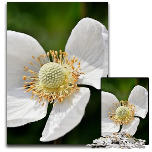 Weiße mehrjährige Blume 1000 teiliges Puzzle für Erwachsene Holzpuzzle anspruchsvolle Denksportaufgabe Familienaktivität Heimdekoration 1000 Teile (75 x 50 cm) von ABKXDMZK