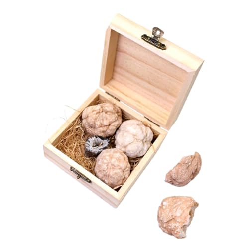 ABOOFAN 1 Schachtel Edelstein-Grabset für Rock-Sammlung Bausatz zum Graben von Steinen Geoden-Kit Edelsteinabbau graben Grabe Edelsteine Rock-Kit Kristallachaterz von ABOOFAN