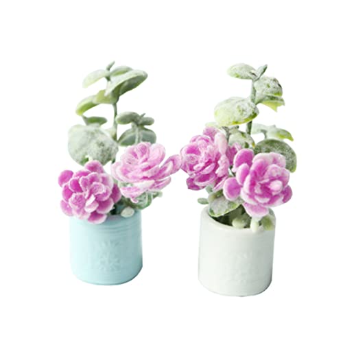 ABOOFAN 2 Stück Mini Bonsai Modell Künstliche Topfpflanzen für Puppenhaus Dekoration Lernspielzeug für Mini Hausaccessoires ABOOFAN 2 Stück Mini Bonsai Modell Künstliche Topfpflanzen für Puppenhaus Dekoration Lernspielzeug für Mini Hausaccessoires von ABOOFAN
