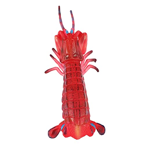 ABOOFAN Abspielbares Verschleißfestes Lernspielzeug Tiermodell Mantisshrimp für Schreibtischdekoration Jungen Mädchen ABOOFAN Abspielbares Verschleißfestes Lernspielzeug Tiermodell Mantisshrimp für Schreibtischdekoration Jungen Mädchen von ABOOFAN