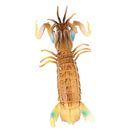 ABOOFAN Lustiges Langlebiges Sinnes Mantis Shrimp Tiermodell für Kleines Sicheres Plastikspielzeug als Sammelobjekt und Dekoration ABOOFAN Lustiges Langlebiges Sinnes Mantis Shrimp Tiermodell für Kleines Sicheres Plastikspielzeug als Sammelobjekt und Dekoration von ABOOFAN