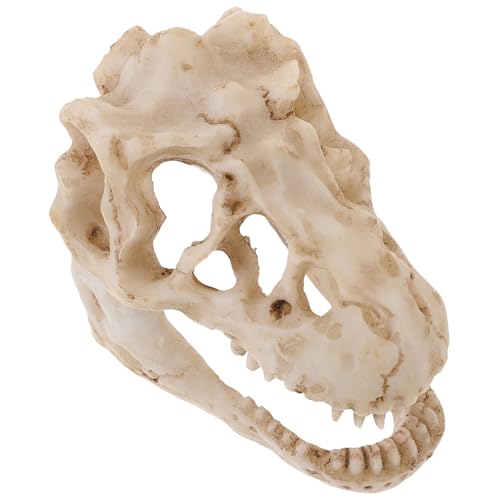 ABOOFAN Modell Eines Dinosaurierschädels Aus Resin Für Schreibtisch Oder Regal Für Dinosaurier Fans Sammler Kleines Schädelmodell von ABOOFAN
