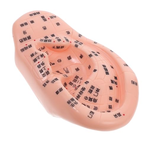 ABOOFAN Ohrakupunktur Modell für Reflexologie Akupunkturtraining Human Ear Display Model zur Präzisen Identifikation von Ohrzonen Akupunkturen Vielseitig Einsetzbar Wellness Massagezentren ABOOFAN Ohrakupunktur Modell für Reflexologie Akupunkturtraining Human Ear Display Model zur Präzisen Identifikation von Ohrzonen Akupunkturen Vielseitig Einsetzbar Wellness Massagezentren von ABOOFAN