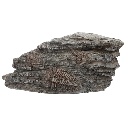 ABOOFAN Resin Trilobiten Dekoration für Leichtes Sicheres und Fossilienornament für Heimdekoration und Lehrmaterialien von ABOOFAN