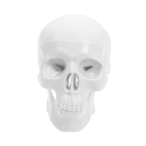ABOOFAN Simuliertes Kopfmodell Mini Schädel Zum Basteln Anatomiemodelle Anatomie Und Physiologie Lernhilfen Schädel Anatomiemodell Halloween Menschliches Schädelmodell Halloween von ABOOFAN