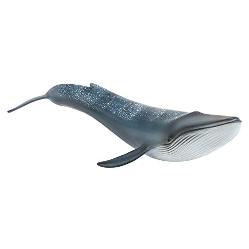 ACOGEDO Realistische Wal -Figur -Miniatur - Detaillierte Simulationswal -Dekor mit Realistischen Flossen - Weißwale Home Ornament für Sammler und (Blauwal -Sprungmodell) von ACOGEDO