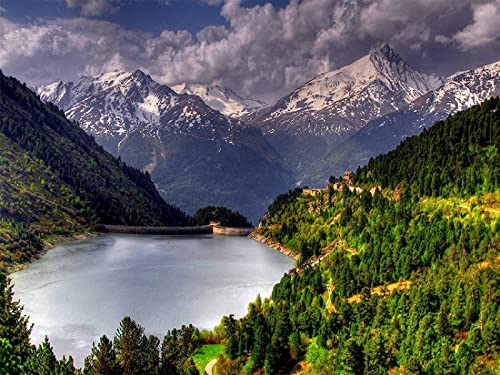 1000 Pieces Jigsaw Puzzles,Forest Landscape Trees Nature Lake Trees Mountains Lak for Kids and Adults Wooden Toy Game Educational38x52cm von ADEIK