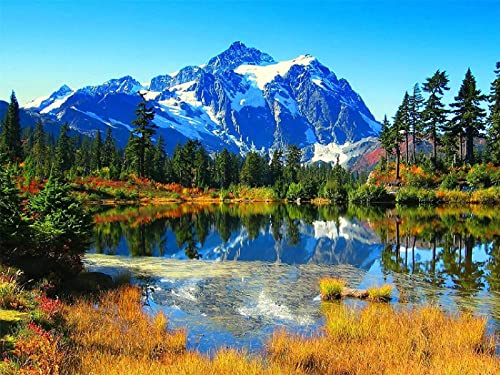 1000 Pieces Puzzles,Paper Quality Jigsaw Puzzles Educational Game Stress Reliever for Adult Kids - Lake Trees Mountains38x52cmSCd403 von ADEIK