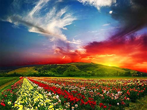 Adult Jigsaw Puzzle 1000 Piecepaper Landscape Nature Flowers Sunset Clouds Very Good Educational Game50x70cmSCd341 von ADEIK