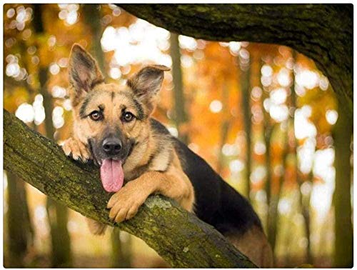 Puzzle 1000 Piece for Adult German Shepherd on The Tree Decorative Paintings50x70cm von ADEIK