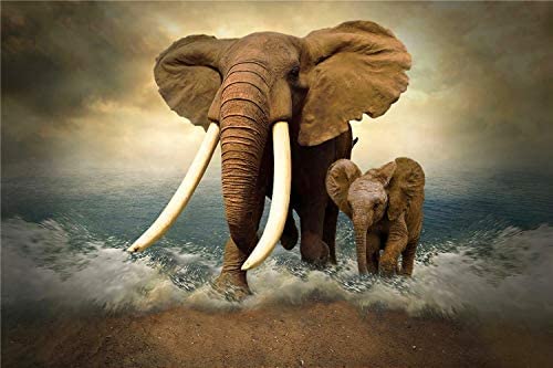 Puzzles 2000 Piece for Adults Kids Wooden Decompression Large Puzzle Elephants and Baby Elephants by The Sea Game Toys Logic Memory Challenge Girls 70x100cm Puzzles 2000 Piece for Adults Kids Wooden Decompression Large Puzzle Elephants and Baby Elephants by The Sea Game Toys Logic Memory Challenge Girls 70x100cm von ADEIK