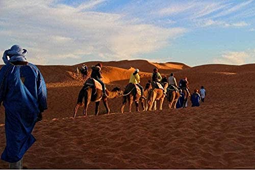Puzzles for Adults 1000 Piece Desert Travel Decompressing Fun Game Hands on Ability Logical Thinking Exercise Toy for Adults and Kids50x70cm von ADEIK