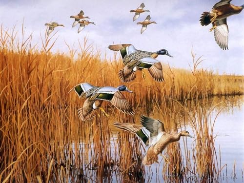 Wild Goose Papierpuzzle für Erwachsene 1000 Teile Familienunterhaltung Lernspielzeug für Erwachsene 50 x 70 cm von ADEIK