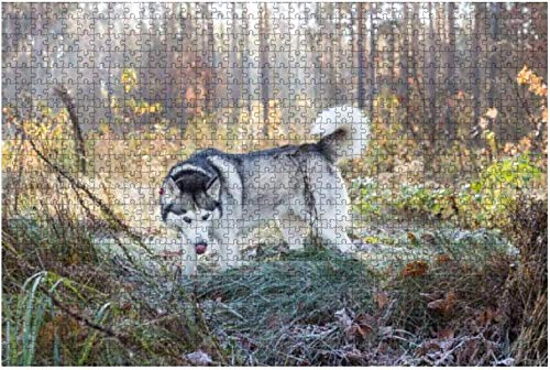 Wooden Puzzle 1000 Pieces Siberian Huskies and Malamuts Participating in The Dog Sled Racing Jigsaw Puzzles for Children or Adults Educational Toys Decompression Game50x70cm von ADEIK
