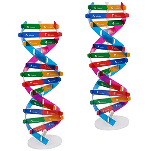 ADOCARN DNA-modellbausatz Aus Kunststoff 2-teiliges Doppelhelix-Modell-DNA Für Lernspielzeug von ADOCARN