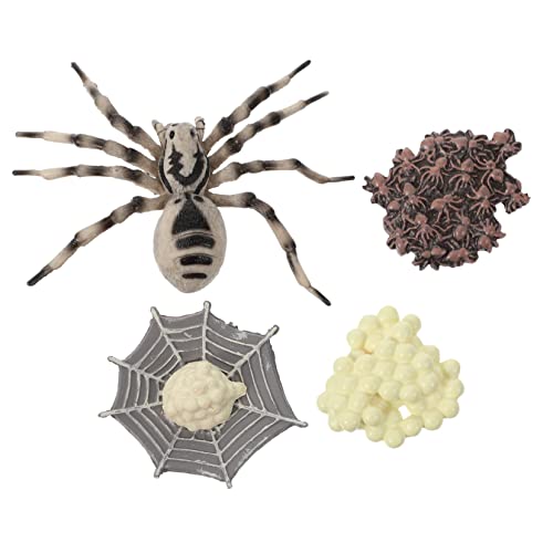 ADOCARN 1 Satz Kognitives Modell des Lebens Hortensien-kunstblumen in Loser Schüttung 3D-Tier-lesezeichen Spiral- Mauspad Düse Produkt Wolfsspinne-Modell Anlage Luftlos Plastik von ADOCARN