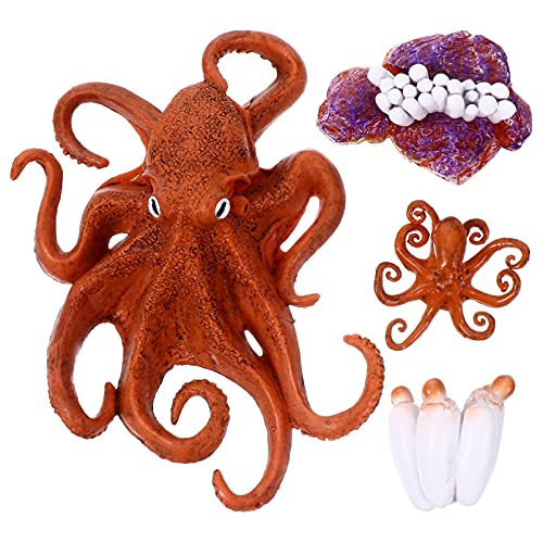 ADOCARN 1 Satz Wachstumszyklus Lebenszyklus-Figur Puzzle- Fischwachstumsmodell Pädagogisches Modellspielzeug Oktopus-wachstumszyklus Für Kinderspielzeug Plastik von ADOCARN