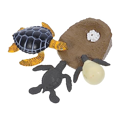 ADOCARN Kultivieren Sie Ehrfurcht Kinder Schildkröte Modell Pädagogisches Spielzeug Tier Lernen Simulation Kit von ADOCARN